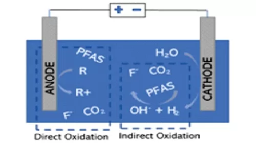 Poly and Perfluoroalkyl PFAs Substances