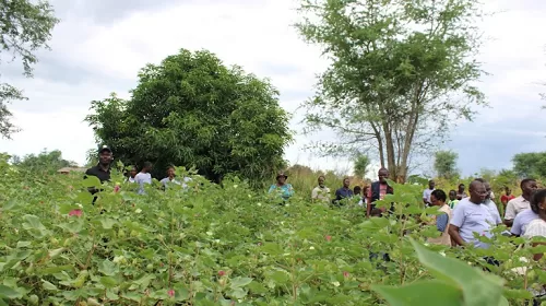 Malawi